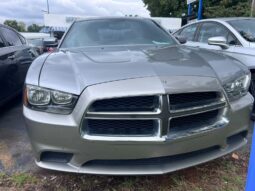 
										2014 Dodge Charger full									